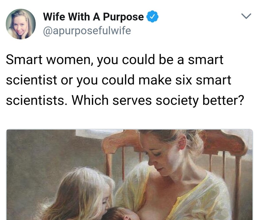 "Smart women, you could be a smart scientist or you could make six smart scientists. Which serves society better?"